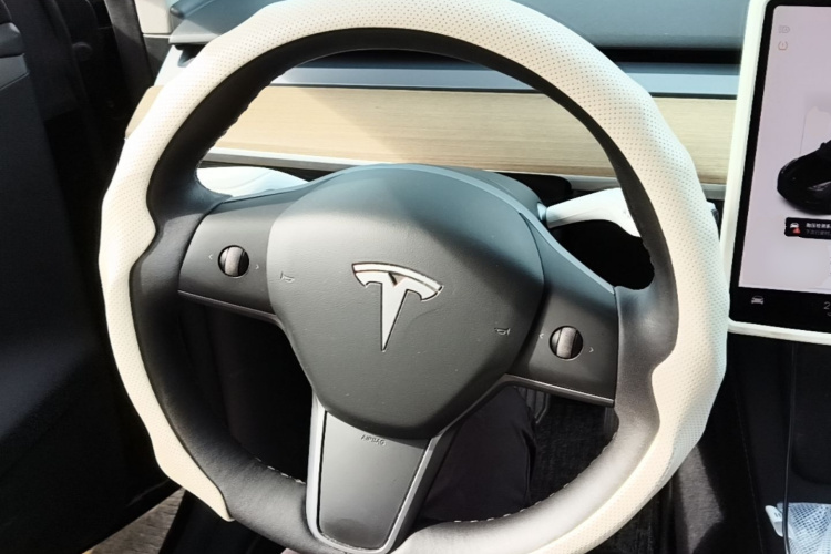 Tesla Model Y 2021 #11 Tesla Model Y 2021 car image #11