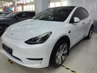 Tesla Model Y 2023 Tesla Model Y 2023 car image