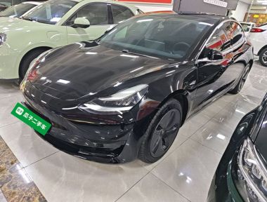 Tesla Model 3 2020 Tesla Model 3 2020 car image