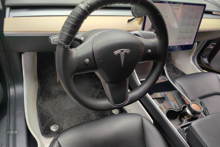 Tesla Model 3 2019 car image #12