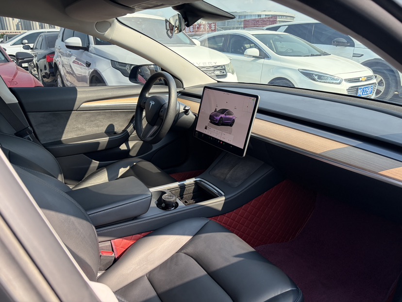 Tesla Model 3 2023 car image #6