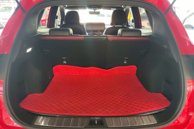 GEELY Coolray 2019 immagine di auto #21