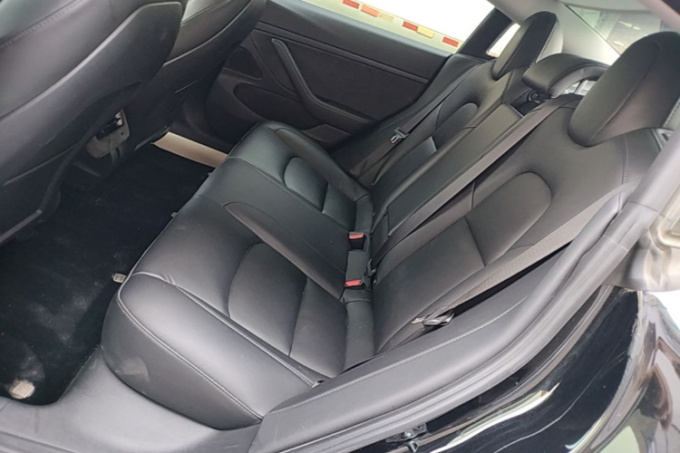 Tesla Model 3 2020 #17 Tesla Model 3 2020 car image #17