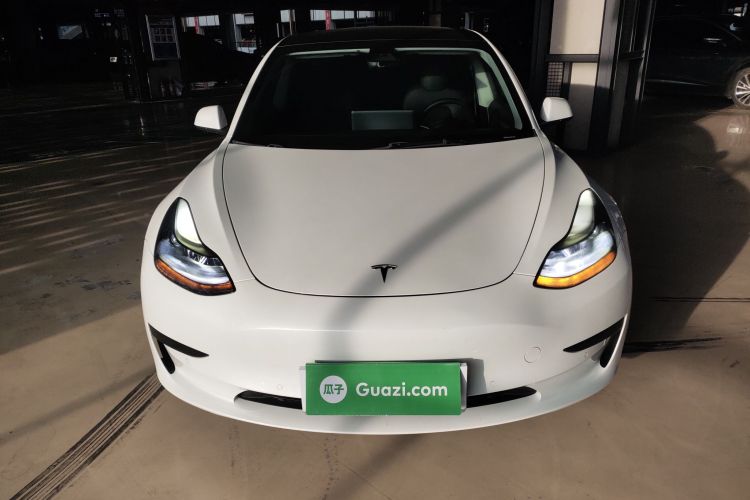 Tesla Model 3 2021 #3 Tesla Model 3 2021 car image #3