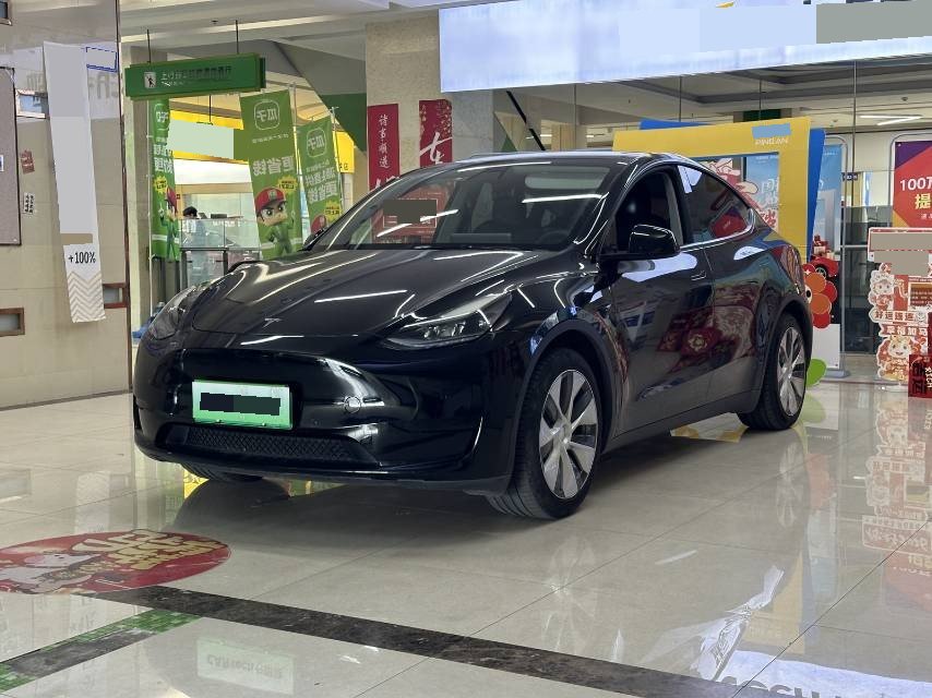 Tesla Model Y 2022 car image 