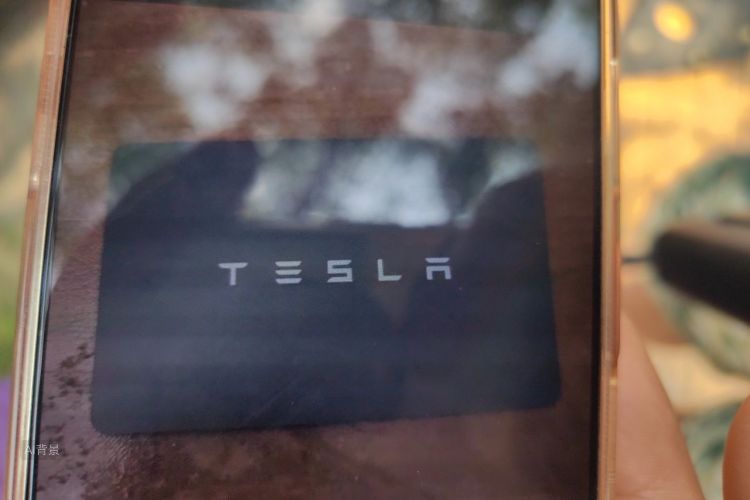 Tesla Model 3 2020 #10 Tesla Model 3 2020 car image #10
