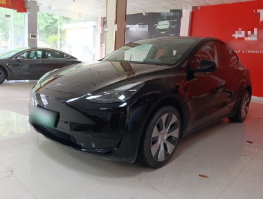 Tesla Model Y 2022 Tesla Model Y 2022 car image
