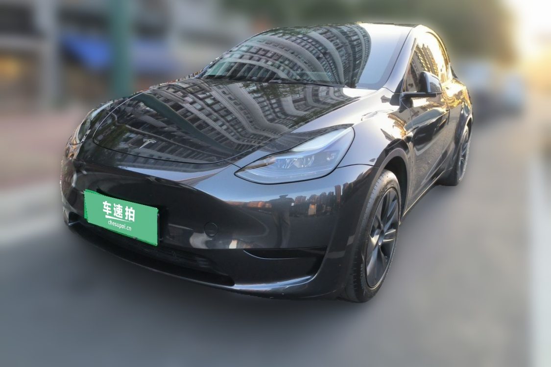 Tesla Model Y 2024 Tesla Model Y 2024 car image