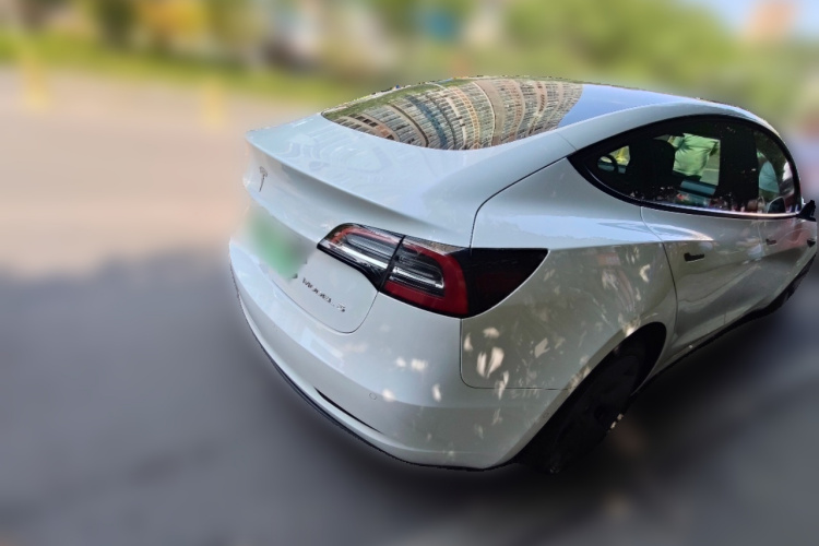 Tesla Model 3 2021 #5 Tesla Model 3 2021 car image #5
