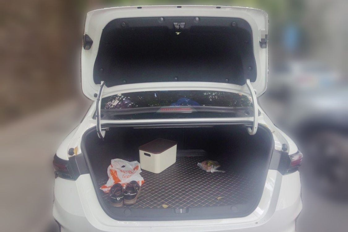 GEELY Binray 2024 car image #8