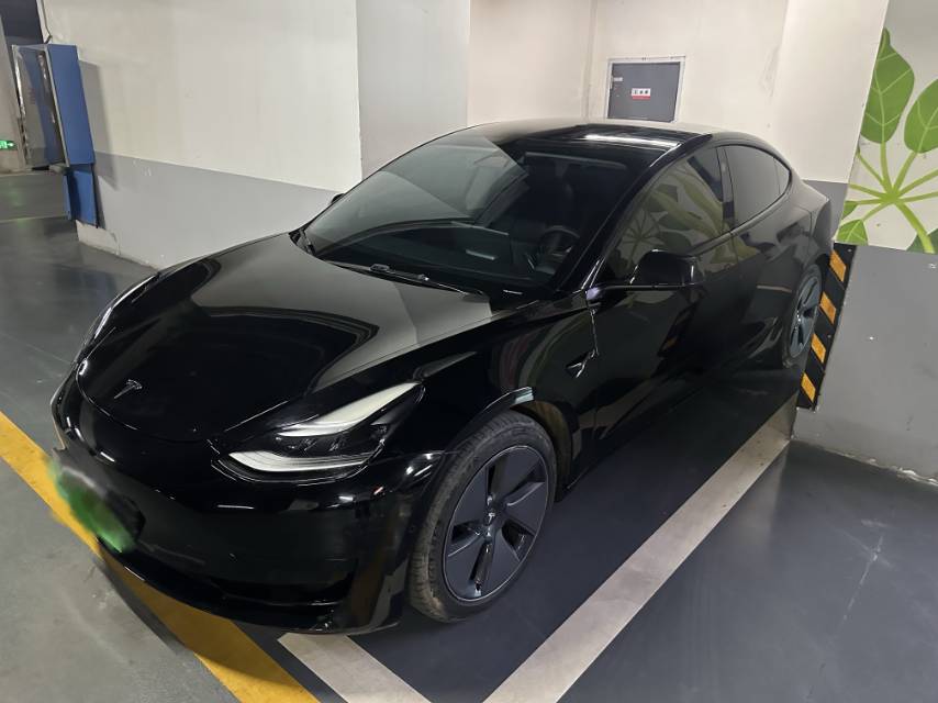 Tesla Model 3 2022 car image 