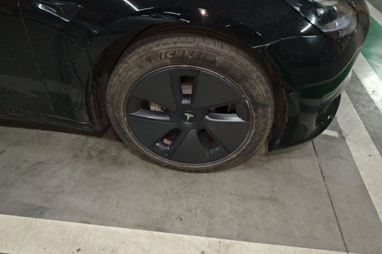 Tesla Model 3 2021 #9 Tesla Model 3 2021 car image #9