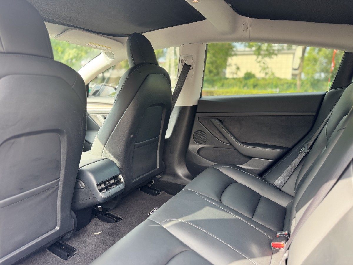 Tesla Model 3 2021 #9 Tesla Model 3 2021 car image #9