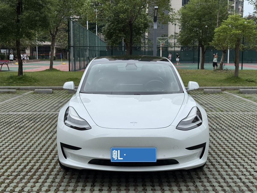 Tesla Model 3 (Imported) 2019 #2 Tesla Model 3 (Imported) 2019 car image #2