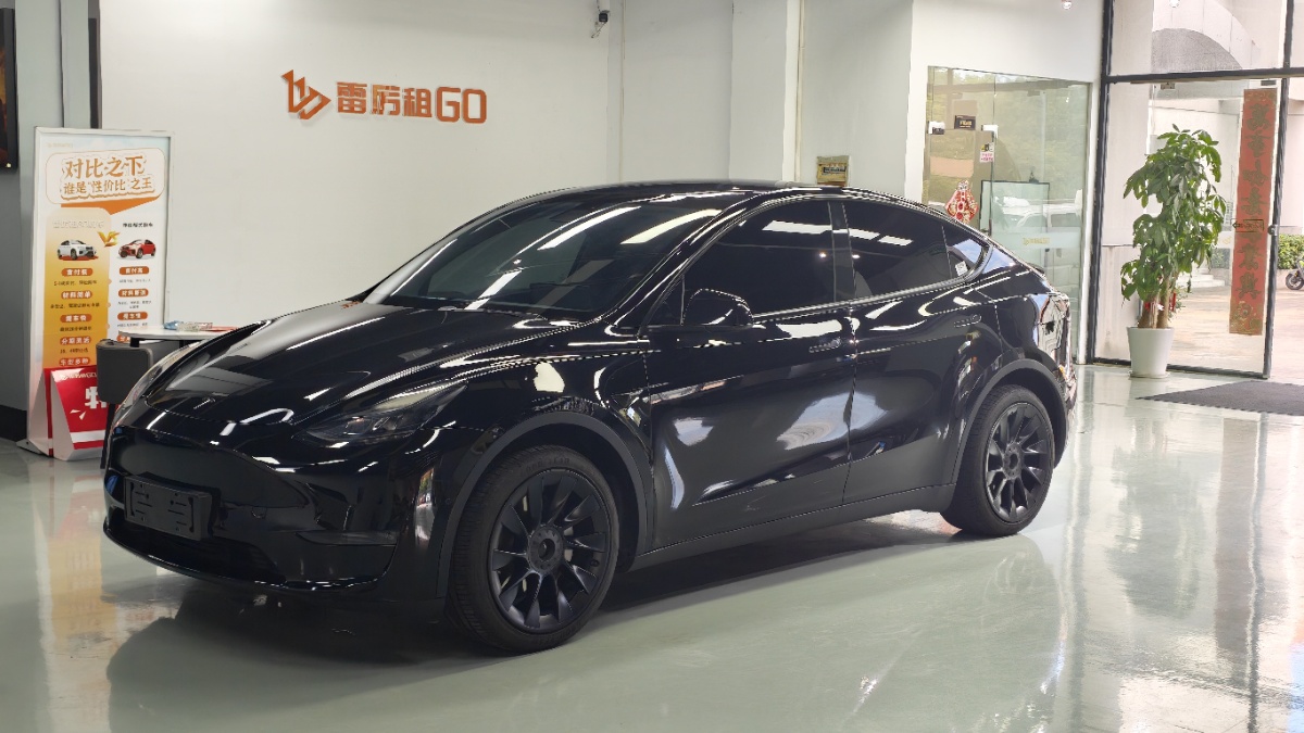 Tesla Model Y 2022 car image 
