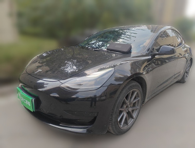 Tesla Model 3 2021 immagine di auto 