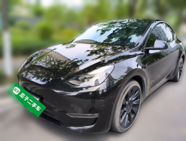 Tesla Model Y 2021 car image 