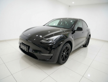 Tesla Model Y 2021 Tesla Model Y 2021 car image
