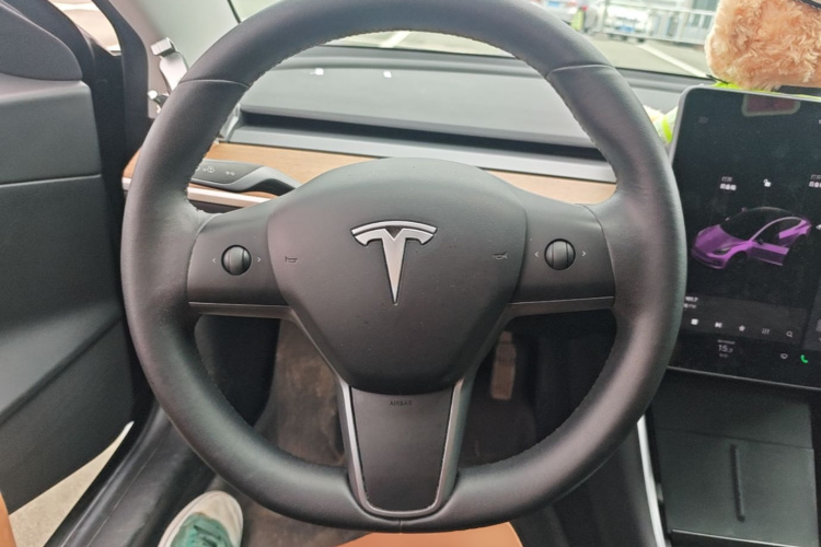 Tesla Model 3 2020 #11 Tesla Model 3 2020 car image #11