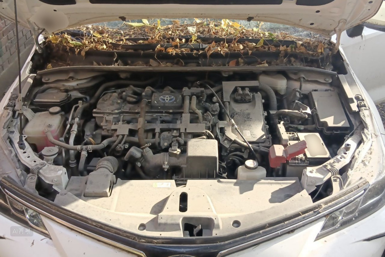 Toyota Corolla 2021 car image #22