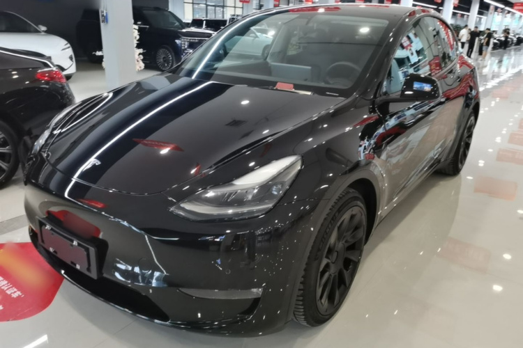 Tesla Model Y 2021 car image #2