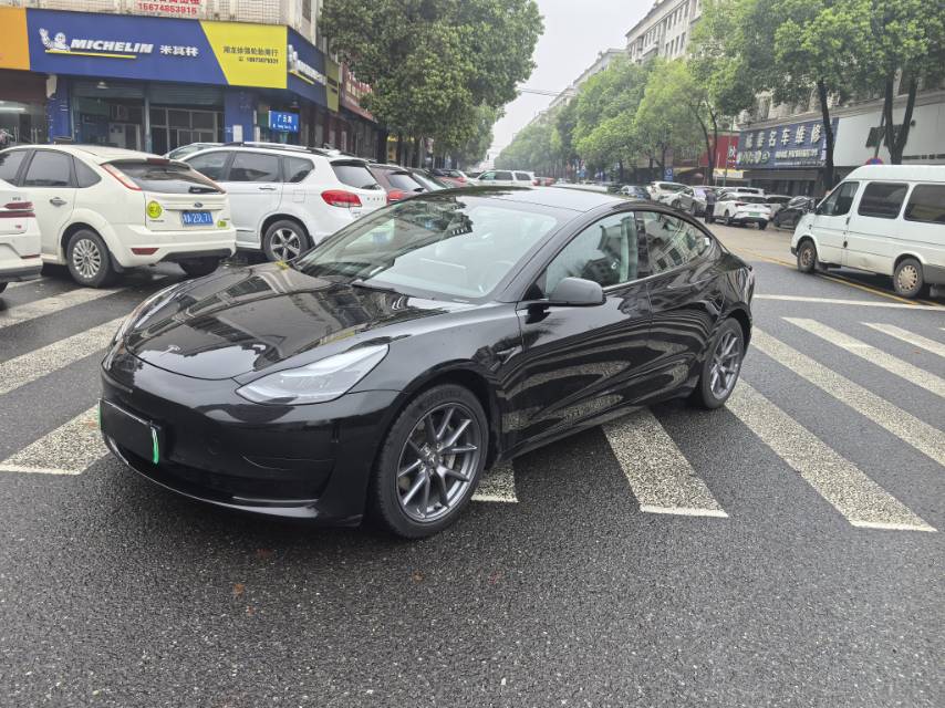 Tesla Model 3 2023 Tesla Model 3 2023 immagine di auto