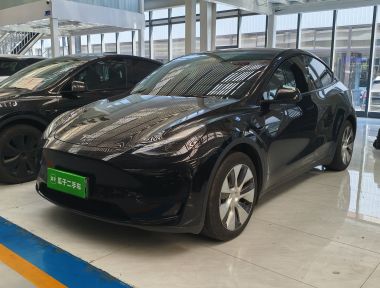 Tesla Model Y 2023 Tesla Model Y 2023 car image