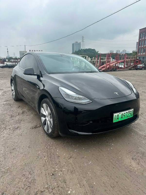 Tesla Model Y 2023 #2 Tesla Model Y 2023 car image #2