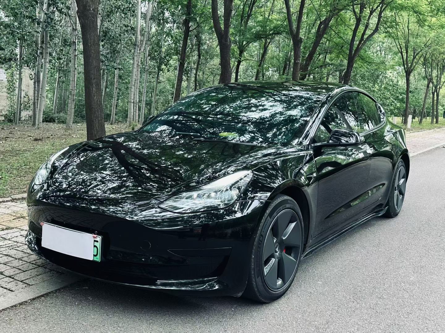 Tesla Model 3 2023 Tesla Model 3 2023 car image
