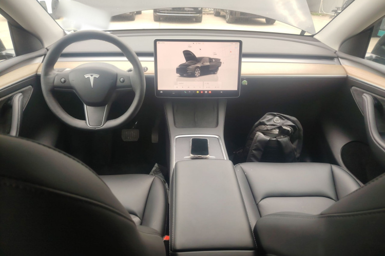Tesla Model Y 2022 car image #10
