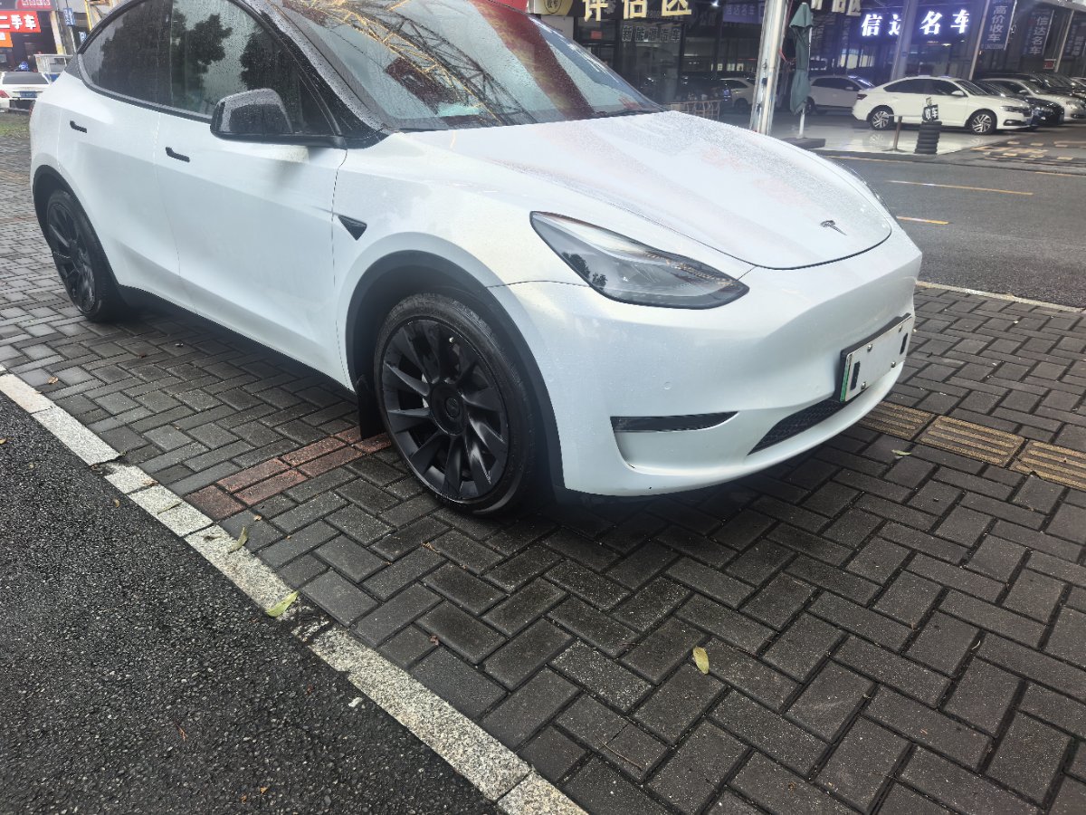 Tesla Model Y 2021 car image #6