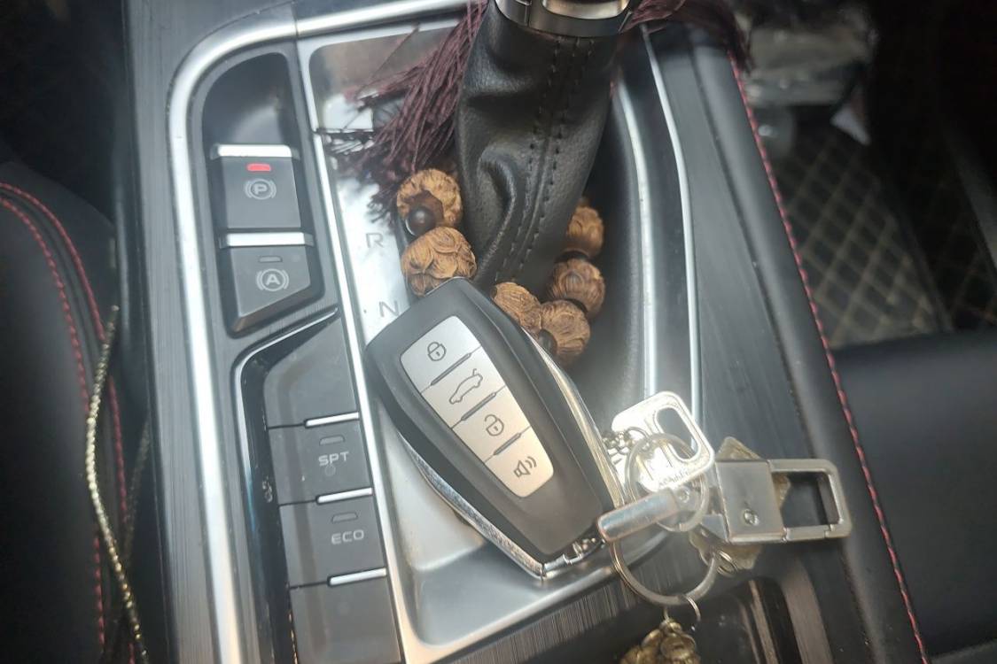 GEELY Binray 2020 #28 GEELY Binray 2020 car image #28