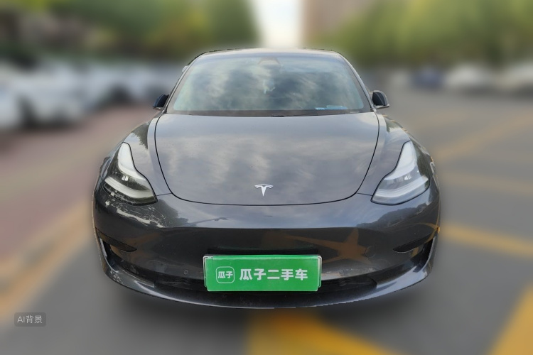 Tesla Model 3 2020 car image #3