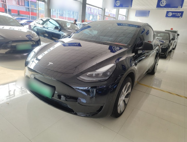 Tesla Model Y 2023 Tesla Model Y 2023 car image