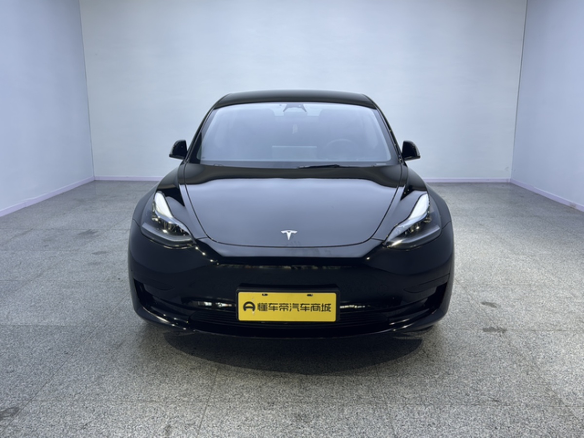 Tesla Model 3 2023 car image #2