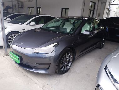 Tesla Model 3 2021 Tesla Model 3 2021 immagine di auto