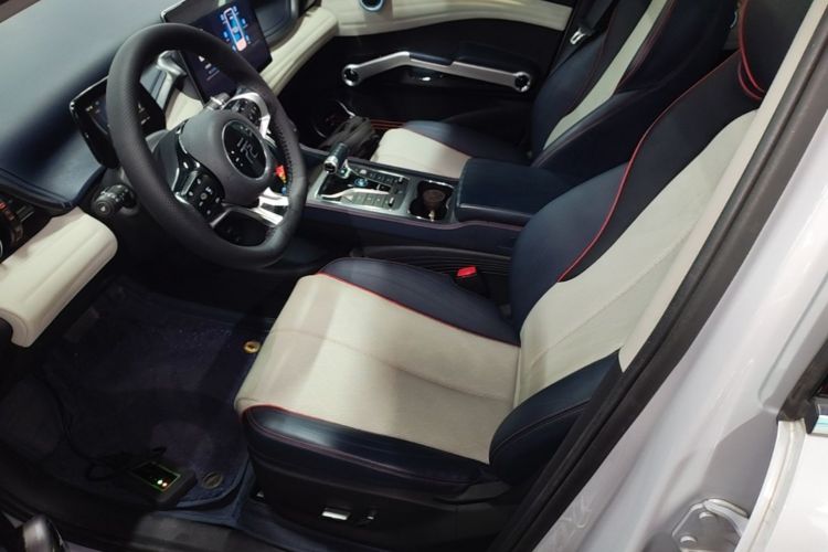 BYD Yuan Plus 2023 car image #15