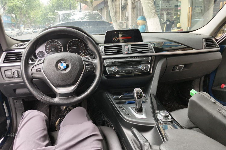 BMW 3 Series 2017 car image #11
