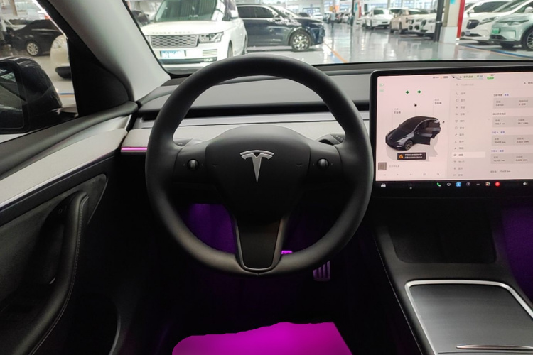 Tesla Model Y 2024 car image #11
