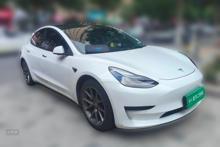 Tesla Model 3 2021 immagine di auto #4