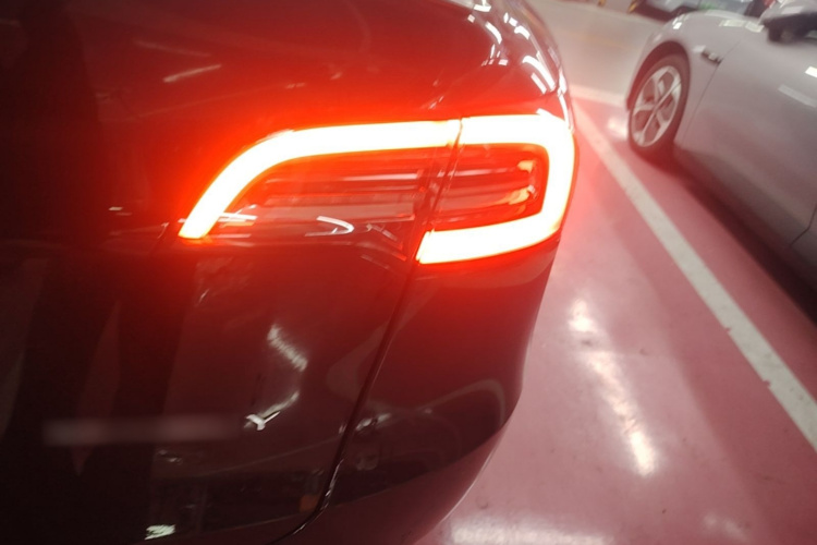 Tesla Model Y 2023 #8 Tesla Model Y 2023 car image #8