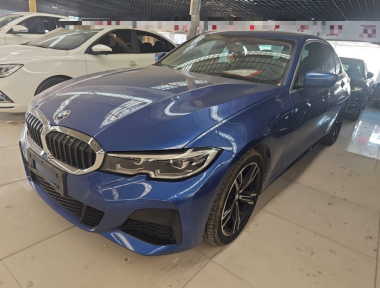 BMW 3 Series 2020 car image 