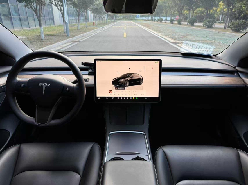 Tesla Model 3 2022 car image #8