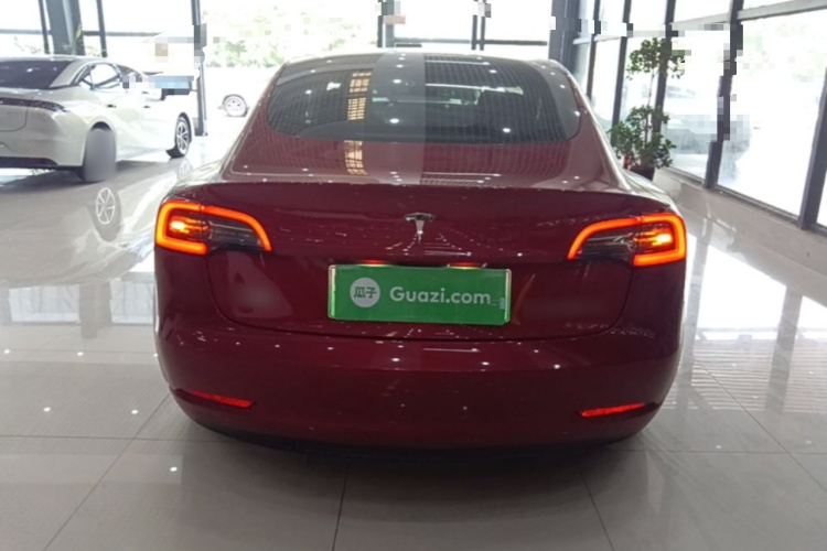 Tesla Model 3 2020 immagine di auto #6