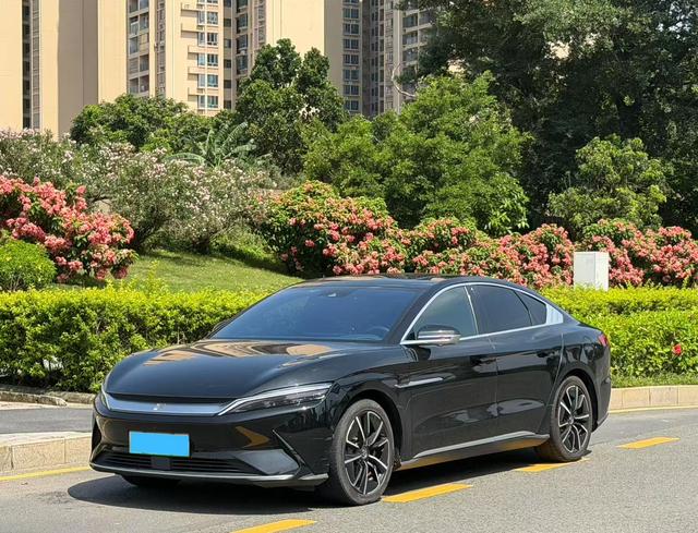 BYD Han 2020 car image #10