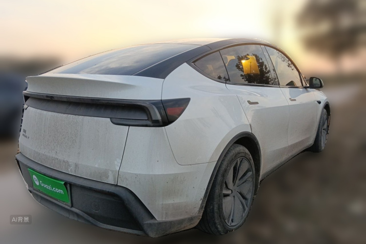Tesla Model Y 2026 car image #7