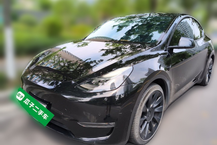 Tesla Model Y 2021 car image #2