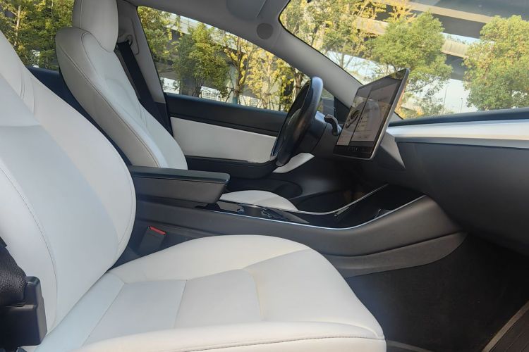 Tesla Model 3 2020 #13 Tesla Model 3 2020 صورة سيارة #13