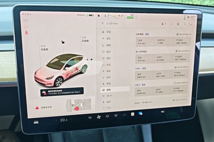 Tesla Model Y 2021 car image #12