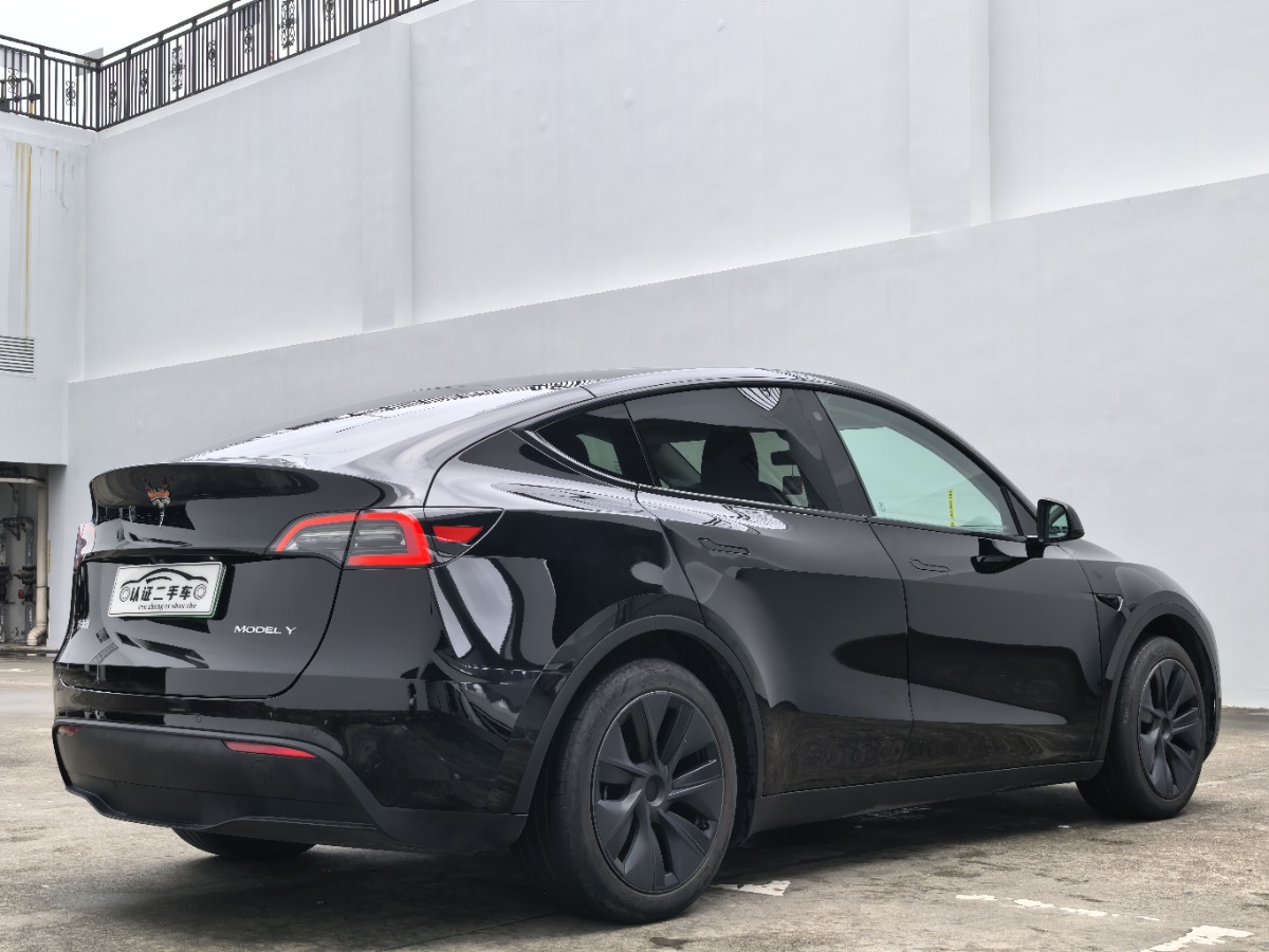 Tesla Model Y 2023 car image #10